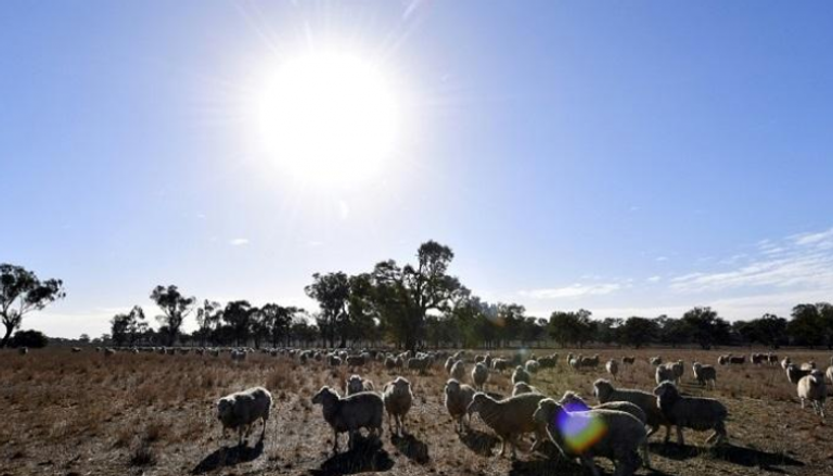 توقعات باستمرار الطقس الحار والجاف في أستراليا