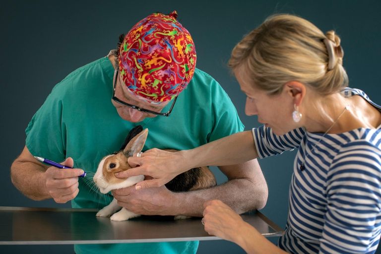 الطبيب البيطري بول شنلر