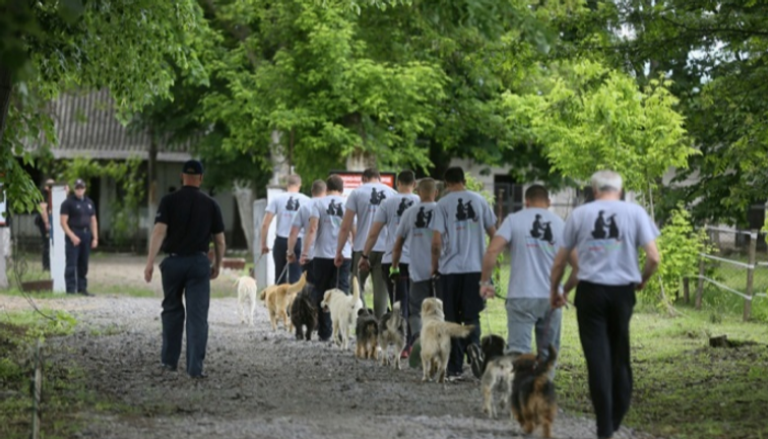 سجن في صربيا يؤهل نزلاءه برعاية الكلاب الضالة