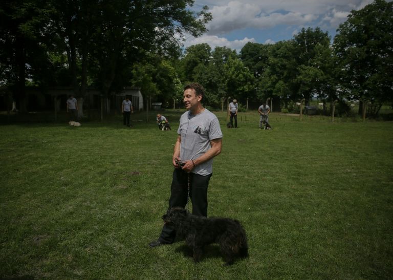 سجن في صربيا يؤهل نزلاءه برعاية الكلاب الضالة