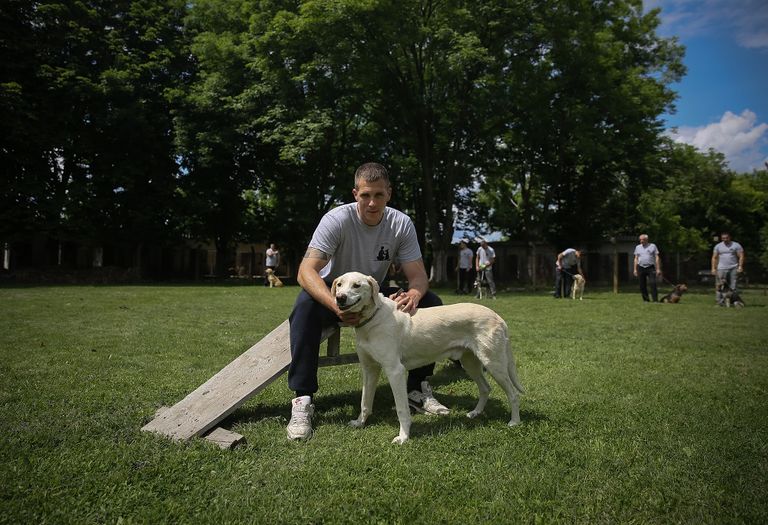 سجن في صربيا يؤهل نزلاءه برعاية الكلاب الضالة