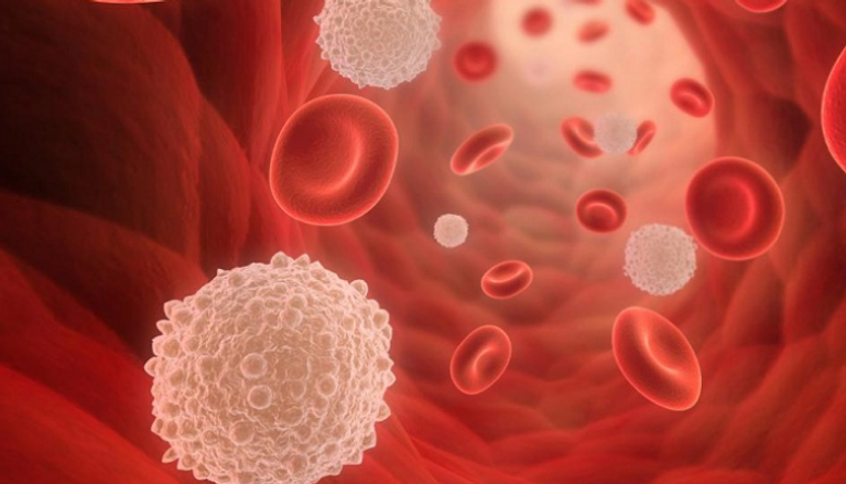 اكتشاف أسباب زيادة خلايا الدم البيضاء لدى مرضى الكوليسترول
