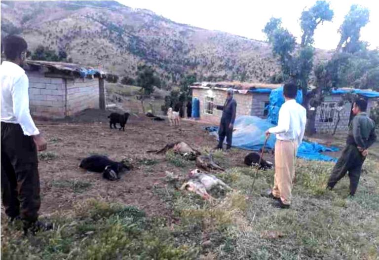 آليات عسكرية تركية - صورة أرشيفية