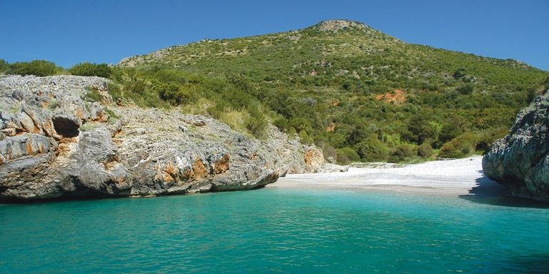 قهوة مجانية لجامعي القمامة في إيطاليا