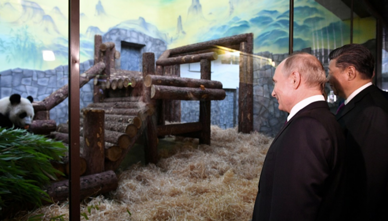  شي جين بينج وفلاديمير بوتين خلال مراسم تقديم الباندا