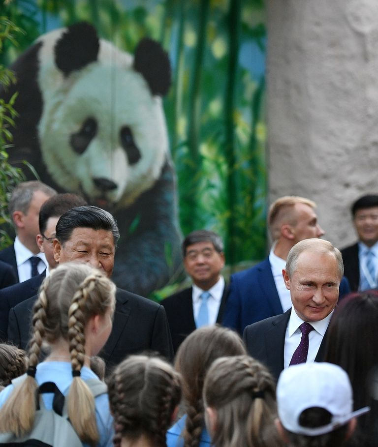 شي جين بينج وفلاديمير بوتين خلال مراسم تقديم الباندا