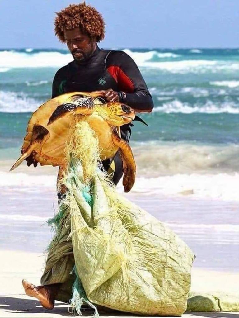 مبادرة لإزالة البلاستيك من البحر الأدرياتيكي