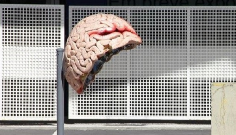  كابينة هاتف عام بمدينة ساو باولو على شكل مخ بشري