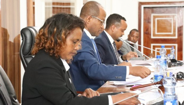 وزير المالية الإثيوبي أحمد شيدي 