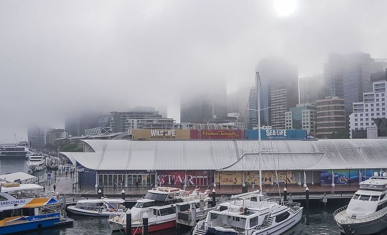 الضباب يخفي معالم سيدني