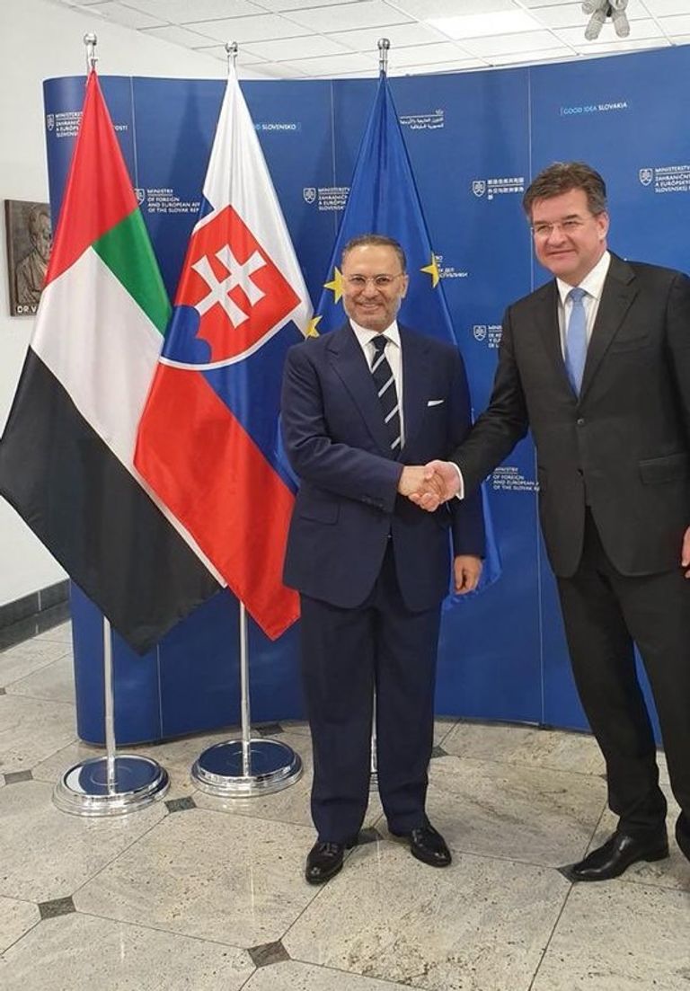 الدكتور أنور بن محمد قرقاش وزير الدولة الإماراتي للشؤون الخارجية