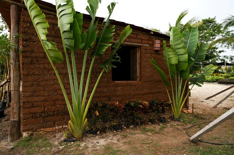 منزل من حجر الطوب المصنوع من الطحالب في لوبرتو موريلوس بالمكسيك الطحالب البحرية في المكسيك تحفز الحس الابتكاري لدى رواد الأعمال