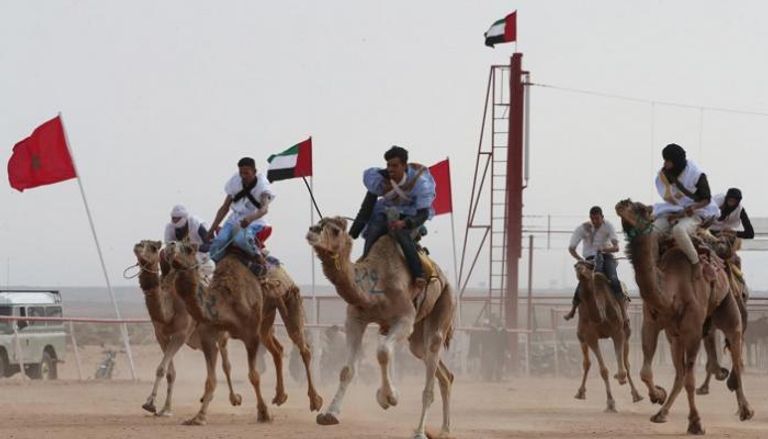 الإمارات تعرض تجربتها في صون التراث بـ"موسم طانطان" المغربي