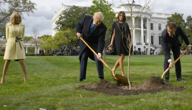 ترامب وماكرون يزرعان شجرة مقدمة هدية من باريس في البيت الأبيض