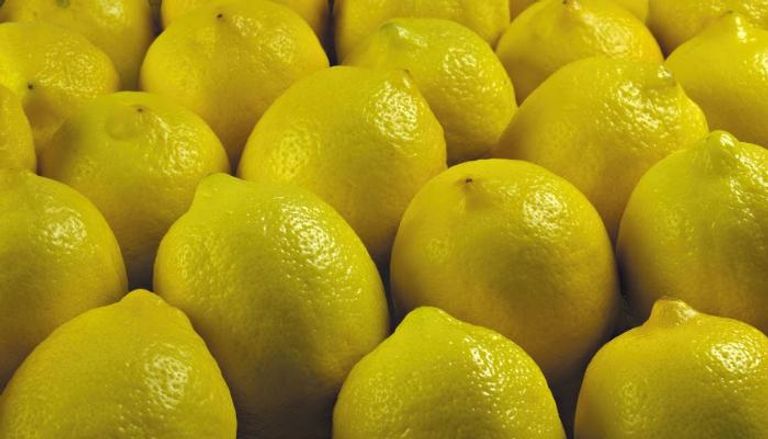 ارتفاع سعر الليمون في مصر