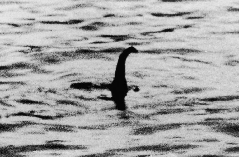 بقايا متحجرة عمرها 70 مليون عام لديناصور بحري