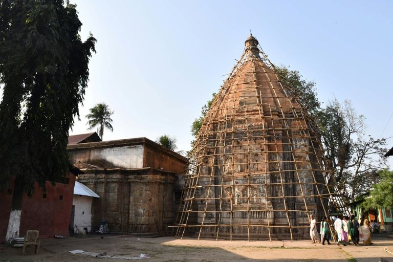معبد هندي.. ملاذ آمن للسلاحف المهددة بالانقراض