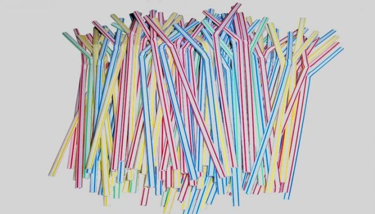 النائبة المصرية أنيسة حسونة