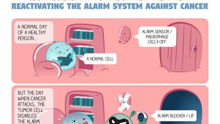دراسة إسبانية تحمل أملا جديدا لعلاج السرطان