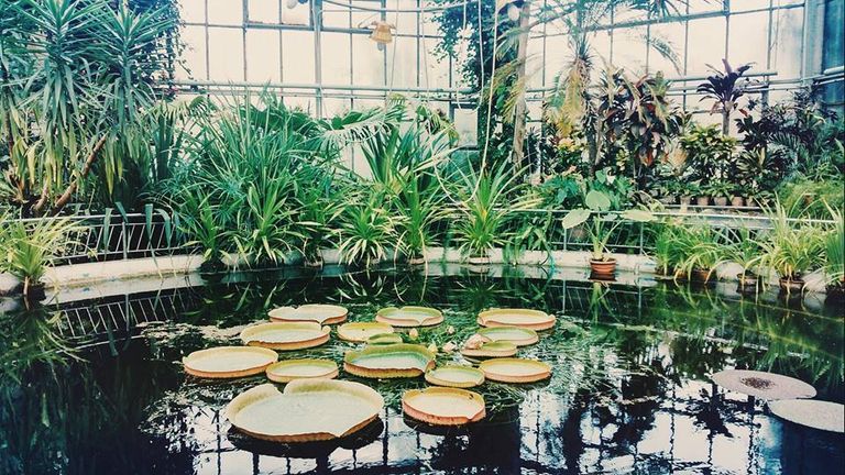 متحف القرية في بايا ماري