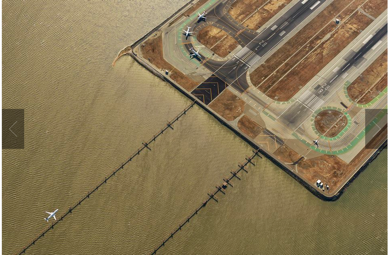 إحدى الصور الفائزة بالمسابقة