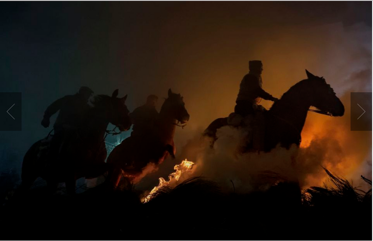 إحدى الصور الفائزة بالمسابقة