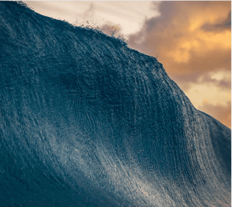 إحدى الصور الفائزة بالمسابقة