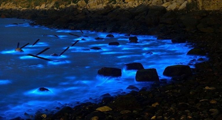 ظاهرة "الدموع الزرقاء"