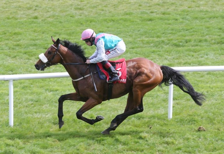 جانب من سباق للخيول في ألمانيا