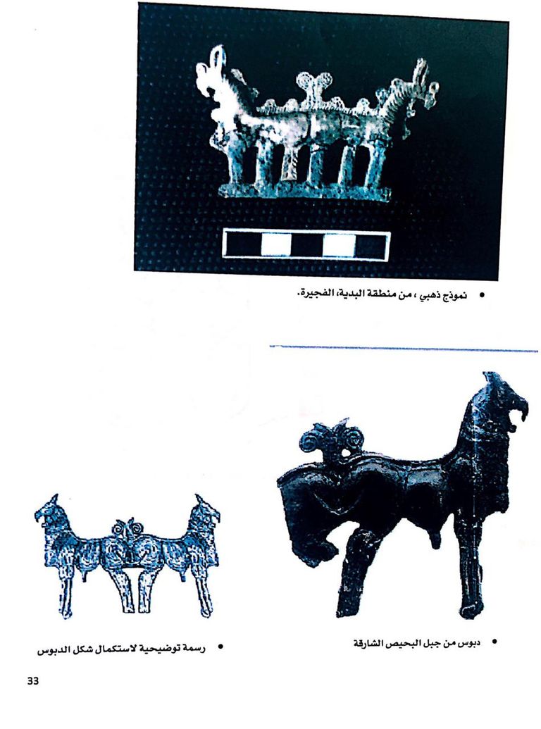 الباحث الإماراتي ناصر العبودي