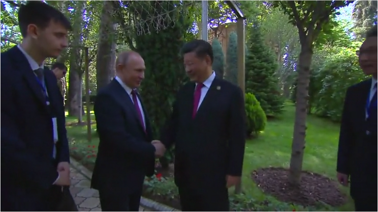 شي جين بينج وفلاديمير بوتين