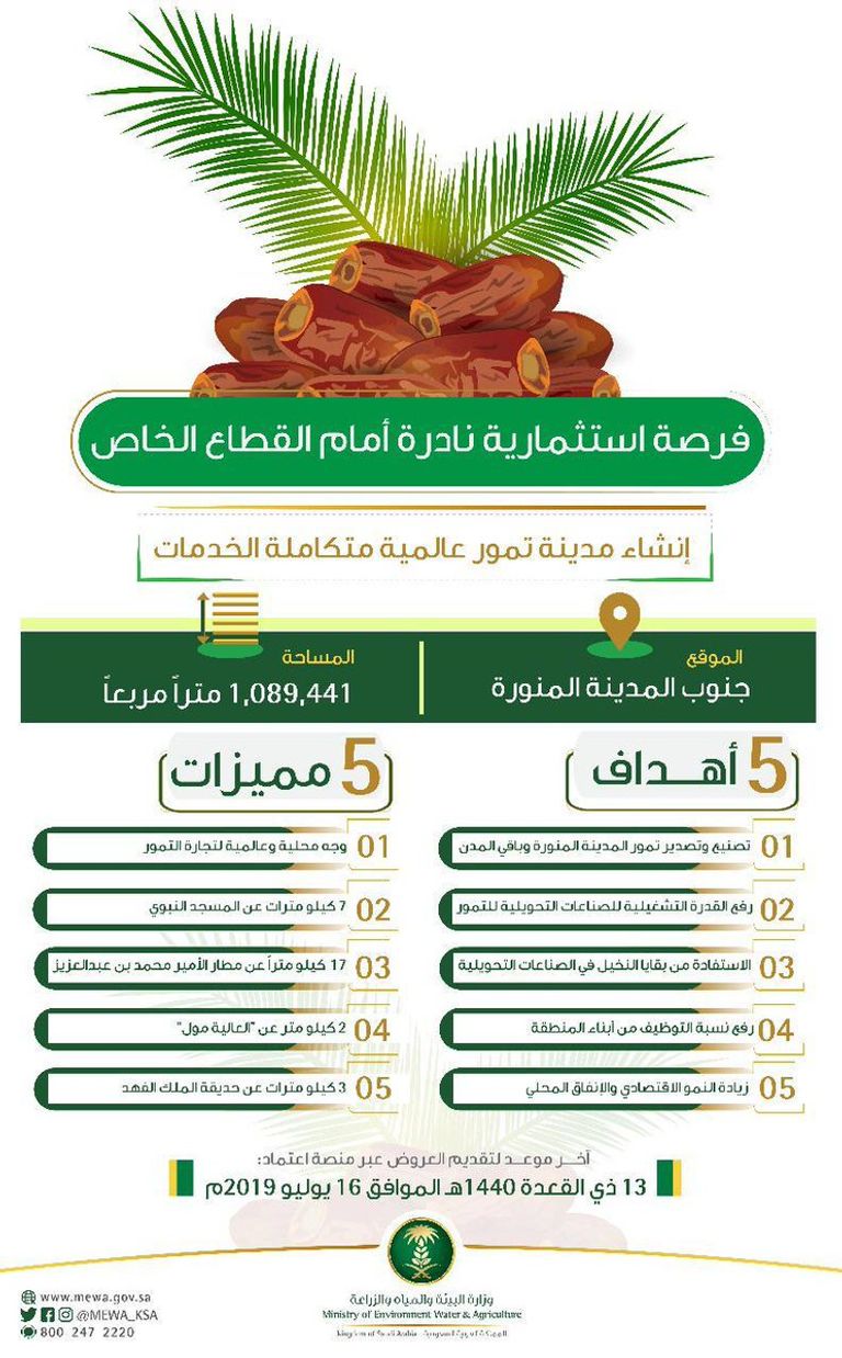 صورة لمهرجان المدينة المنورة للتمور