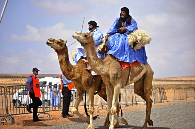 موسم طانطان.. رحلة في خفايا تراث البدو الرحل بالمغرب - أرشيفية