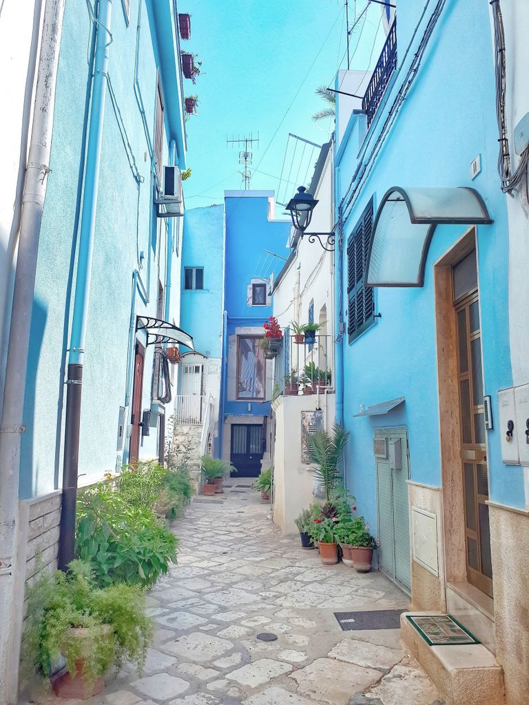 كازاماسيما.. قرية إيطاليا الزرقاء