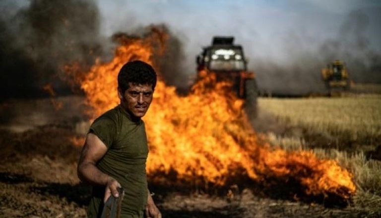 نيران تلتهم حقول القمح في الشمال السوري