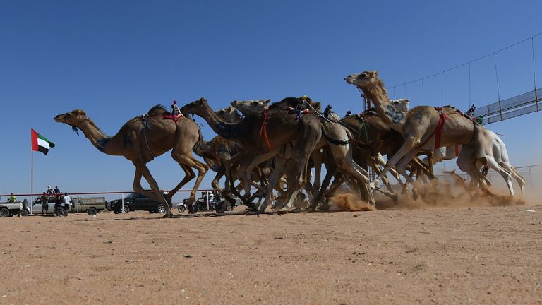 جانب من مشاركة الإمارات في مهرجان طانطان المغربي