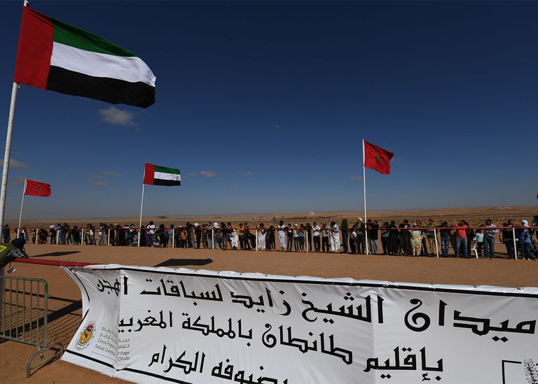 جانب من مشاركة الإمارات في مهرجان طانطان المغربي