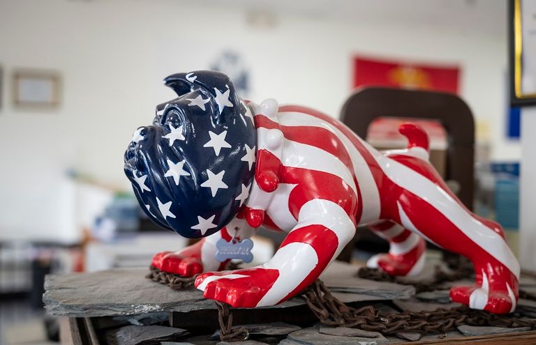 الجمعية تُدرِّب كلب المحارب السابق إذا كان لديه واحد