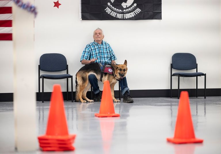 الجمعية تُدرِّب كلب المحارب السابق إذا كان لديه واحد