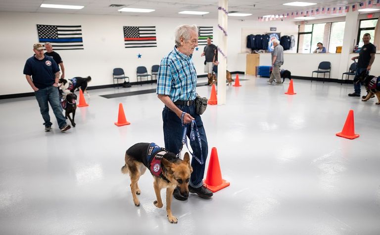 الجمعية تُدرِّب كلب المحارب السابق إذا كان لديه واحد