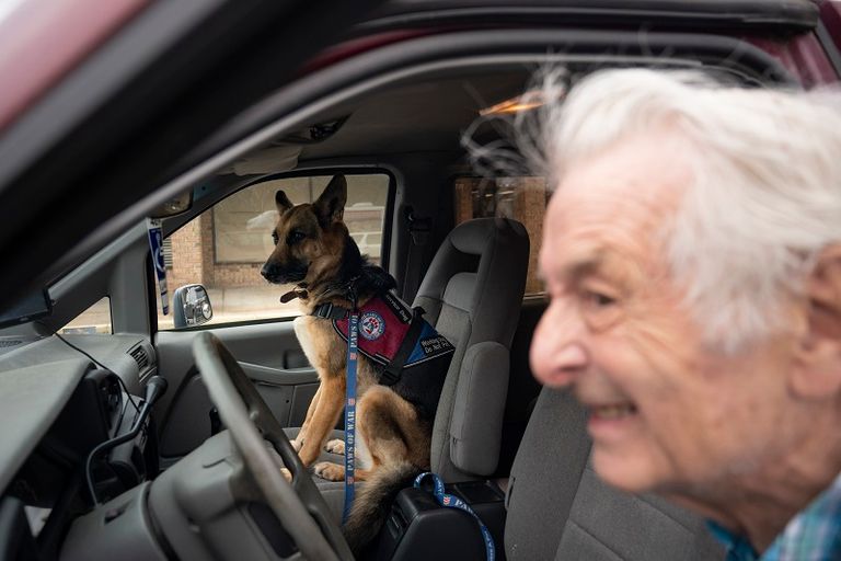 الجمعية تُدرِّب كلب المحارب السابق إذا كان لديه واحد