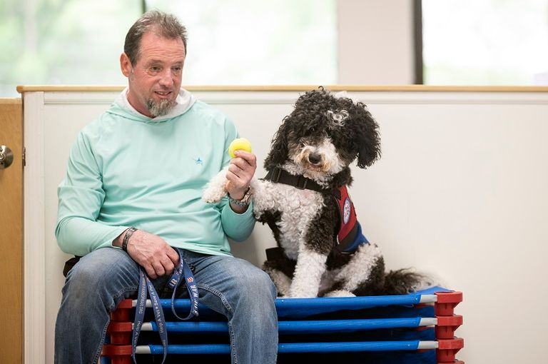 الجمعية تُدرِّب كلب المحارب السابق إذا كان لديه واحد