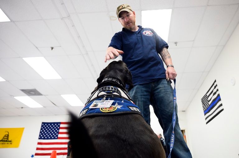 الجمعية تُدرِّب كلب المحارب السابق إذا كان لديه واحد