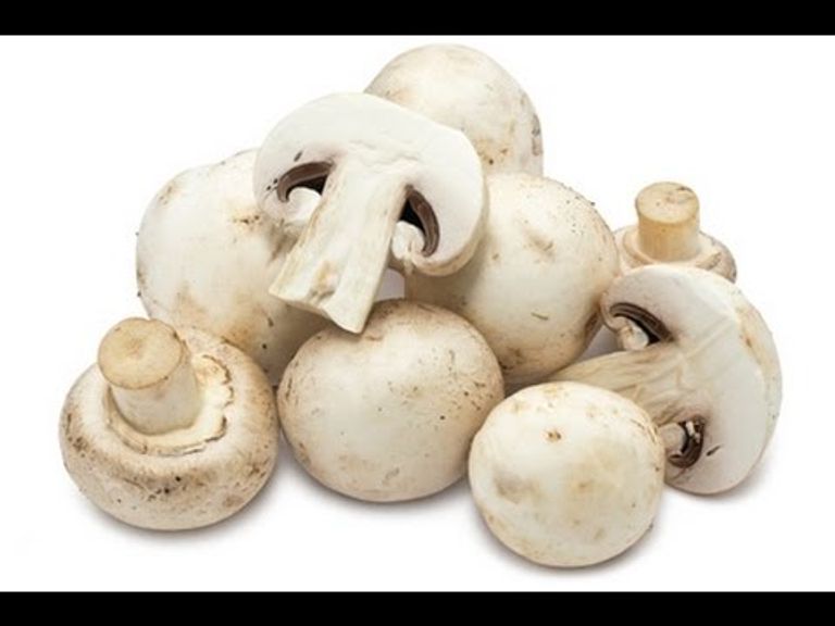 تزداد شعبية النظام الغذائي النباتي عاما بعد عام