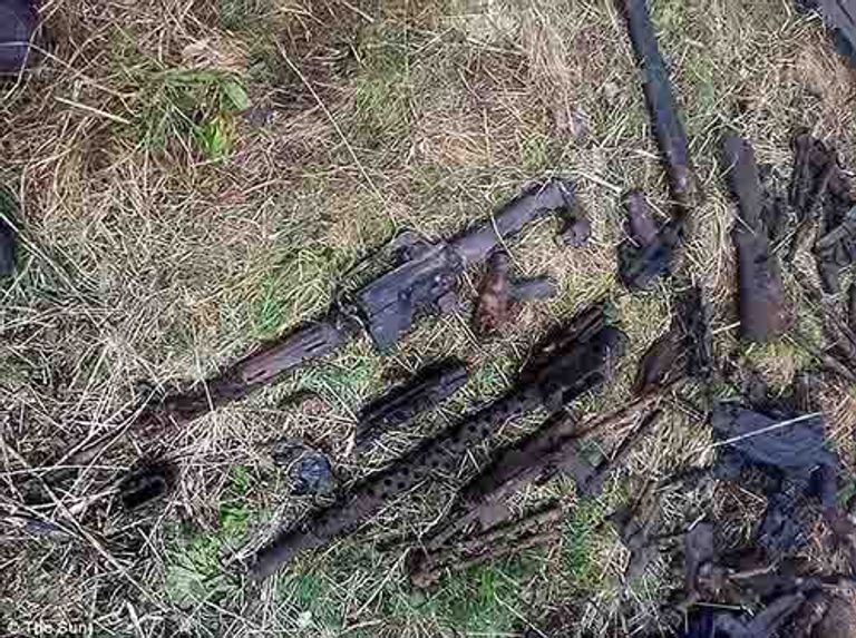 الصيد بالمغناطيس.. هواية التنقيب في أعماق الأنهار - أرشيفية