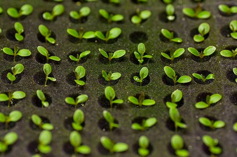 تعاون بين "إكسبو 2020 دبي" و"الإمارات لتموين الطائرات"