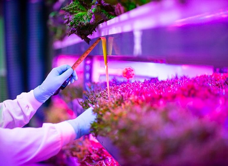 تعاون بين "إكسبو 2020 دبي" و"الإمارات لتموين الطائرات"