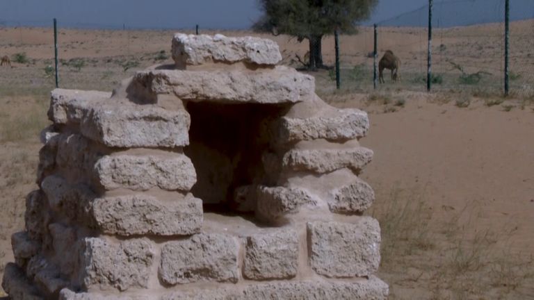 معبد الدور الأثري في أم القيوين 