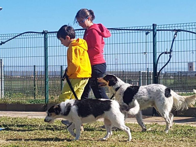 الطفل الإيطالي