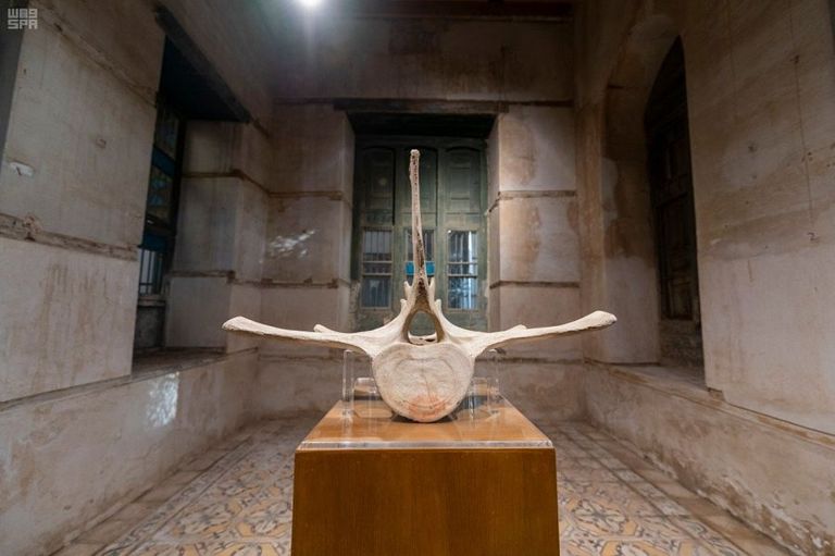 جانب من المعرض الفني  "نفثَه"